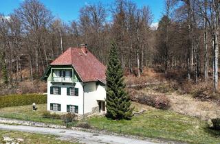 Einfamilienhaus kaufen in 9220 Velden am Wörther See, Landhaus von 1930 am Waldrand – drei Ebenen und viel Raum für Ideen– Zentrum zu Fuß erreichbar
