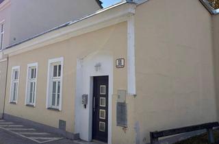 Haus kaufen in Rollettgasse 11, 2500 Baden, Saniertes Stadthaus mit Garten