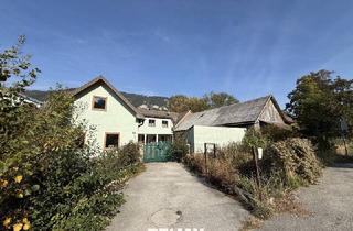 Mehrfamilienhaus kaufen in 2733 Grünbach am Schneeberg, Wohnzimmer mit direktem Blick auf die eigene Pferdekoppel!