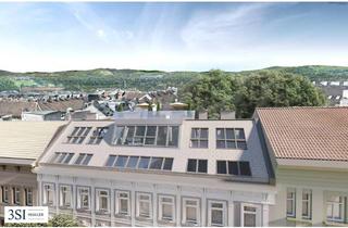 Wohnung kaufen in Kröllgasse 27, 1150 Wien, Baubewilligter Rohdachboden in ausgezeichneter Mikrolage - in Top-Lage direkt beim Meiselmarkt + U3 Johnstraße
