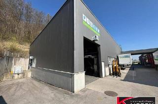 Büro zu mieten in 4053 Haid, *** 950m² TOP - LAGERHALLE - MIT REGALEN UND RAMPE ***