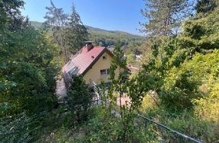 Einfamilienhaus kaufen in 3400 Klosterneuburg, Wohnen im Grünen: Einfamilienhaus in idyllischer Hanglage mit Sanierungsbedarf