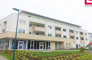 Wohnung mieten in Rodlstraße 1/9, 4112 Sankt Gotthard im Mühlkreis, Moderne 2-Zimmer Mietwohnung Inkl. Tiefgarage