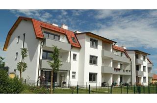 Wohnung mieten in O. Kernstockgasse 668, 3571 Gars am Kamp, Gars IV/3 - LZ: 2090 - Top 1007