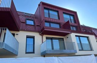 Wohnung mieten in Jedlersdorfer Straße 142A/3/12, 1210 Wien, Sehr nette 1 1/2 Zimmer Singlewohnung in Jedlersdorf