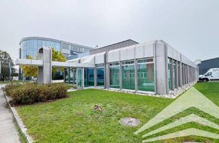 Büro zu mieten in Pem-Straße, 4310 Mauthausen, Helles 250 m² Büro mit Werkstatt- oder Lageroptionen ab ca. 350 m² an der B3 in Mauthausen