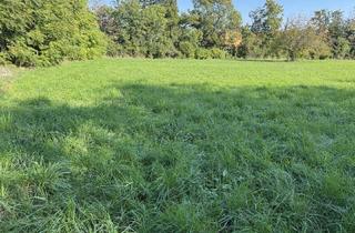 Grundstück zu kaufen in Anton Seidlgasse, 2344 Maria Enzersdorf, WIDMUNG GRÜNLAND PARK - GRUNDSTÜCK - ANLAGE