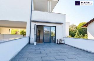 Wohnung kaufen in Riegelgasse, 8010 Graz, Edle Terrassenwohnung für Singles, oder auch für ein Pärchen geeignet - Ruhelage! & TG-Parkplatz!