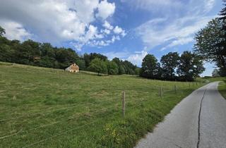 Gewerbeimmobilie kaufen in 8200 Gleisdorf, Für pure Idealisten | Laßnitzthal / Steiermark: Rund 2,2 ha Wald, landwirtschaftliche Flächen und Bauland | Haus (abbruchreif)