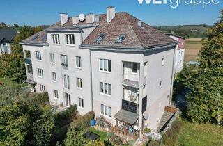 Wohnung mieten in Schulgasse 3/11, 3262 Wang, Wang | 3-Zimmer-Mietwohnung | Top 11 | Dachgeschoß