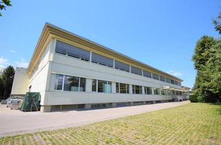 Gewerbeimmobilie mieten in Rüggelen 23, 6830 Rankweil, 50 m² Lagerfläche in Rankweil