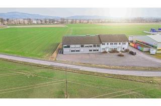 Büro zu mieten in Gewerbeweg, 4102 Goldwörth, Modernes Betriebsobjekt mit viel Platz - Büro, Ordination, Lagerhalle