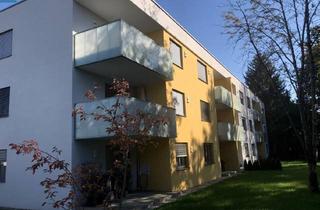 Wohnung mieten in Wildfellnerstraße 31/14, 4910 Ried im Innkreis, Objekt 2181: 2-Zimmerwohnung in 4910 Ried im Innkreis, Wildfellnerstraße 31, Top 14 (Inkl. Carport)