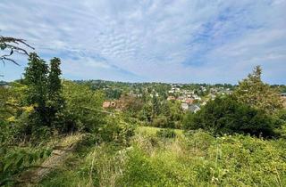 Einfamilienhaus kaufen in Schießstattgraben, 3400 Klosterneuburg, Grundstück mit Bestandshaus in naturnaher Wohnlage und Fernblick! Neubaustudien vorhanden!