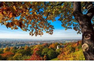 Wohnung mieten in Ettendorf 80, 9472 Ettendorf, Großfamilie Willkommen! 4 Zimmer Wohnung mit Westbalkon