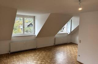 Loft mieten in Hauptstraße 23/007, 9751 Sachsenburg, Dachgeschoss-Loft mit Mega Aktion in Oberkärnten!