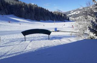 Wohnung mieten in 6365 Kirchberg in Tirol, Mehrere Nette Voll Möblierte 1-2 Raum Apartment Top Lage an Skiwiese,200m Zentrum,Balkon, Stellplatz