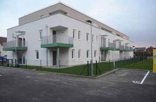 Wohnung mieten in 4482 Ennsdorf, Attraktive 4-Zimmer-Wohnung mit großzügiger Terrasse in Ennsdorf